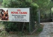 House with land for sale on TORRENT VALLVERDINA, Gelida, ref: TR233364 photo
