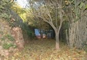 House with land for sale on TORRENT VALLVERDINA, Gelida, ref: TR233364 photo