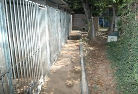 Foto 19