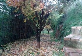 Foto 20