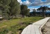 Suelo urbano en venta en la Urbanización el Higueral, Sotillo de la Adrada, ref: TR233418 foto