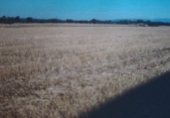 Земельный участок на продажу в городе Оренсе Фото