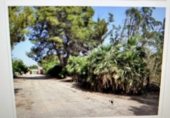 Finca rústica en venta en la Carretera de la Palma, Cartagena, ref: TR233443 foto