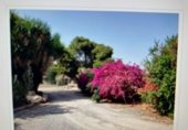Finca rústica en venta en la Carretera de la Palma, Cartagena, ref: TR233443 foto