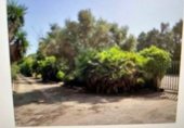 Finca rústica en venta en la Carretera de la Palma, Cartagena, ref: TR233443 foto