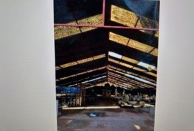 Foto 8