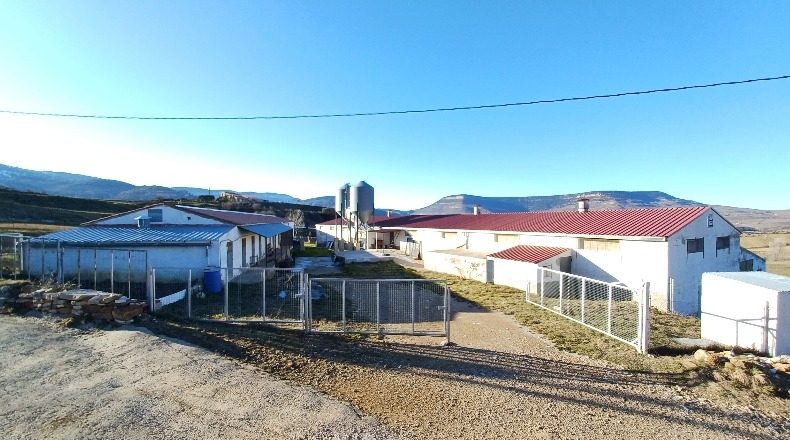 Teruel - Cantavieja - 10000m2