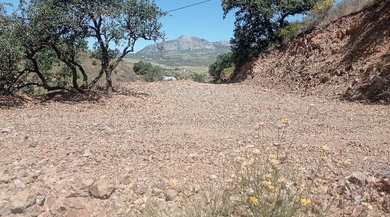 Guadalajara - Fuencemillán - 1000m2
