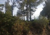 Городская земля под застройку на продажу у города Olivella Фото