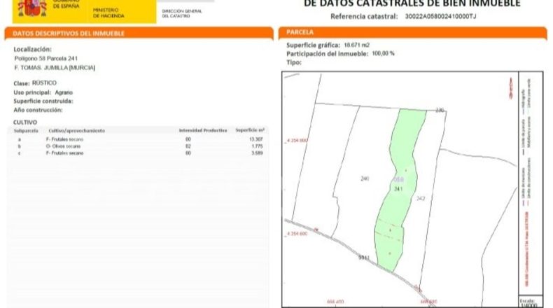 Alicante - Pinoso - 18000m2