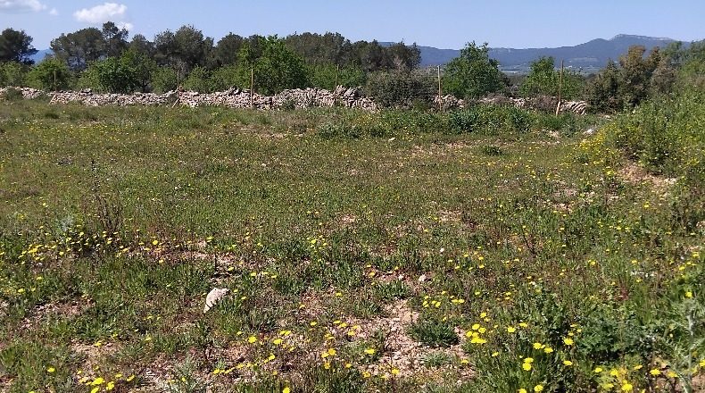 Tarragona - Tarragona - 4499m2