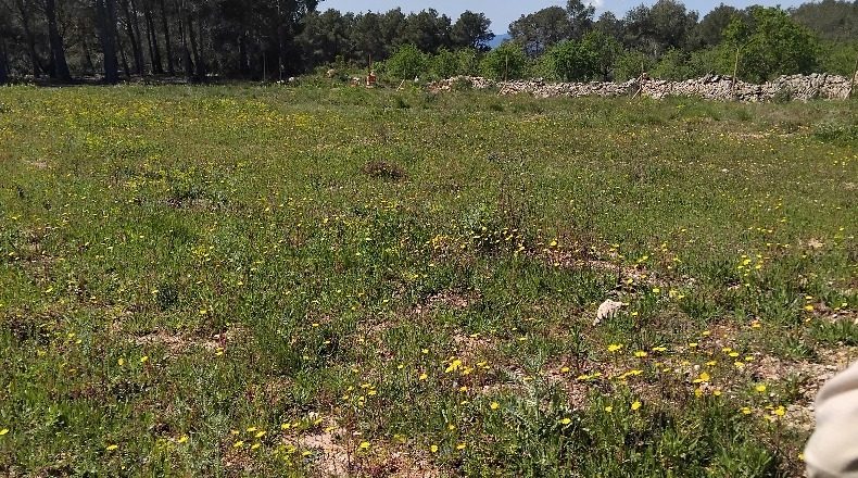 Tarragona - Tarragona - 4499m2