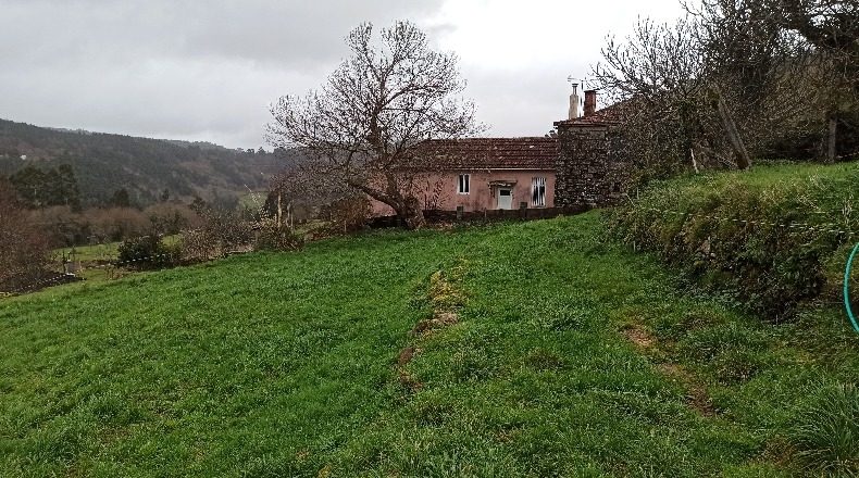 Pontevedra - Cerdedo - 4000m2