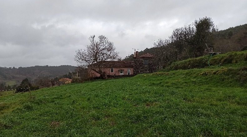 Pontevedra - Cerdedo - 4000m2