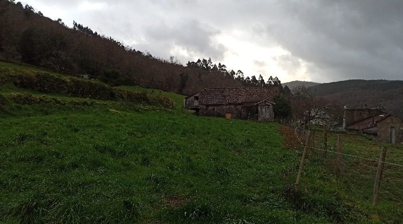Pontevedra - Cerdedo - 4000m2
