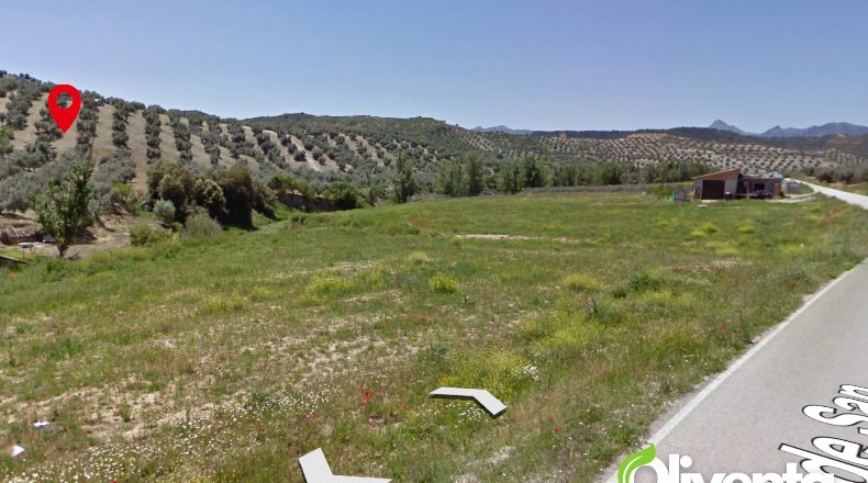 Granada - Jayena - 36300m2