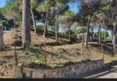 Parcel·la urbanitzable en venda a la Carrer Arbúcies, Lloret de Mar, ref.: TR234050 foto
