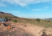 Parcel·la urbanitzable en venda a la carretera La Romana - La Algueña, la Romana, ref.: TR234091 foto