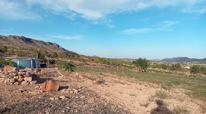 Alicante - Романа - 11369m2