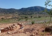 Parcel·la urbanitzable en venda a la carretera La Romana - La Algueña, la Romana, ref.: TR234091 foto