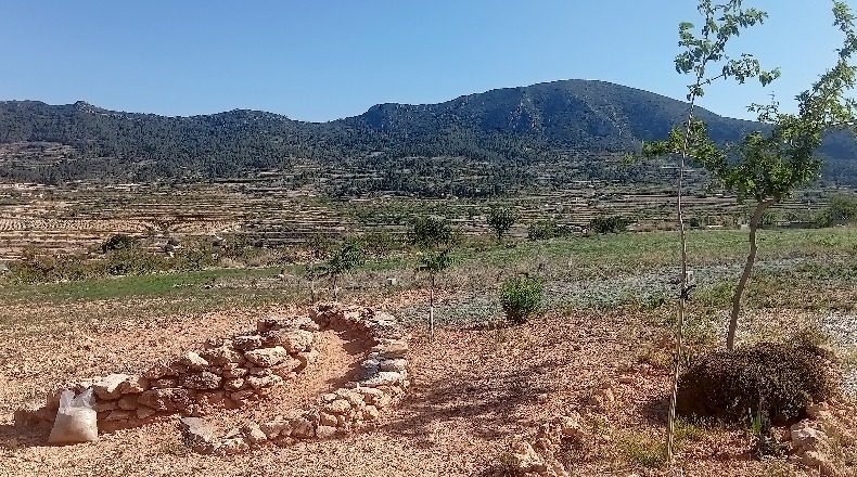 Alicante - Романа - 11369m2