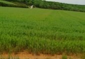 Non-developable land for sale on PP-2290, Respenda de la Peña, ref: TR234094 photo
