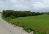 Non-developable land for sale on PP-2290, Respenda de la Peña, ref: TR234094 photo