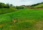 Non-developable land for sale on PP-2290, Respenda de la Peña, ref: TR234094 photo