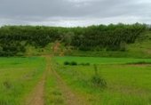 Non-developable land for sale on PP-2290, Respenda de la Peña, ref: TR234094 photo