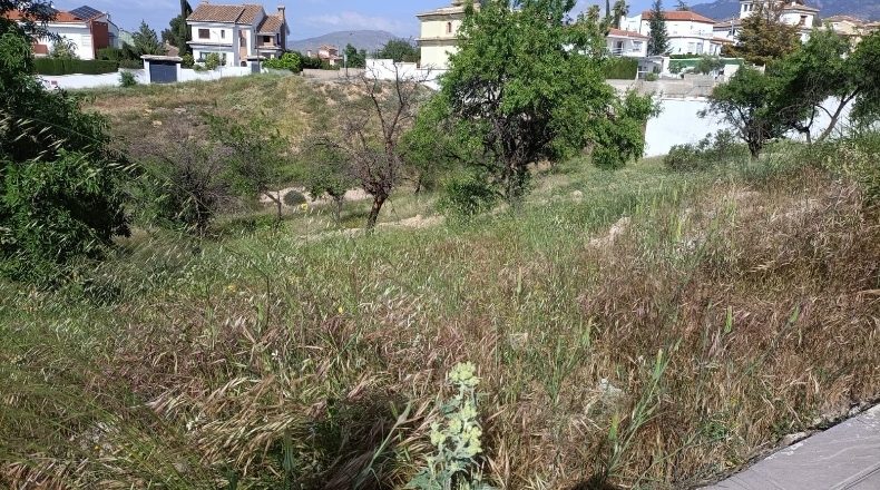 Granada - La Zubia - 596m2