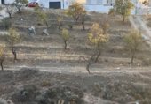 Parcel·la urbanitzable en venda a la Calle Río Castril, La Zubia, ref.: TR234251 foto
