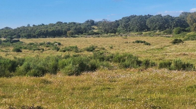 Cáceres - Valencia de Alcántara - 120000m2