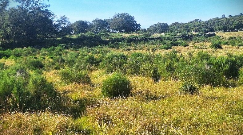 Cáceres - Valencia de Alcántara - 120000m2