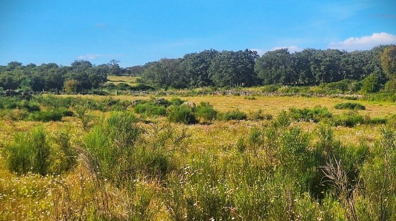 Cáceres - Valencia de Alcántara - 120000m2