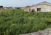 Casa de poble en venda a la Calle Lavaderos, Carrascal del Obispo, ref.: TR234536 foto