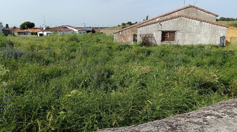 Salamanca - Carrascal del Obispo - 2568m2