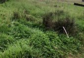Parcel·la urbanitzable en venda a la Aldea Robleu, Robléu, ref.: TR234806 foto
