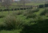 Parcel·la urbanitzable en venda a la Aldea Robleu, Robléu, ref.: TR234806 foto