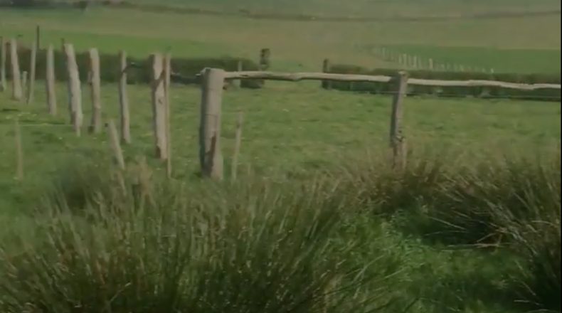Asturias - Robléu - 1300m2