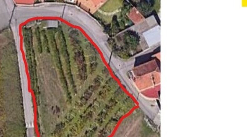 Pontevedra - Pontevedra - 1450m2
