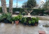 Villa con terreno en venta en la Partida Baya Baja, Elche, ref: TR234851 foto