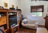Villa con terreno en venta en la Partida Baya Baja, Elche, ref: TR234851 foto
