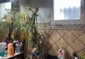 Villa con terreno en venta en la Partida Baya Baja, Elche, ref: TR234851 foto