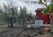 Villa con terreno en venta en la Partida Baya Baja, Elche, ref: TR234851 foto