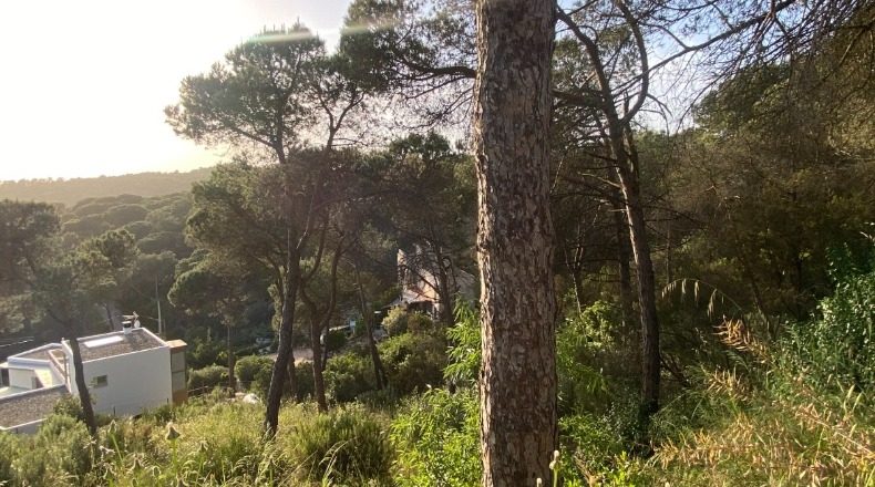 Barcelona - Vilanova del Vallès - 1300m2