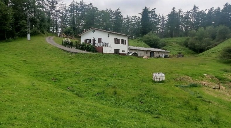Vizcaya - Ceánuri - 10000m2