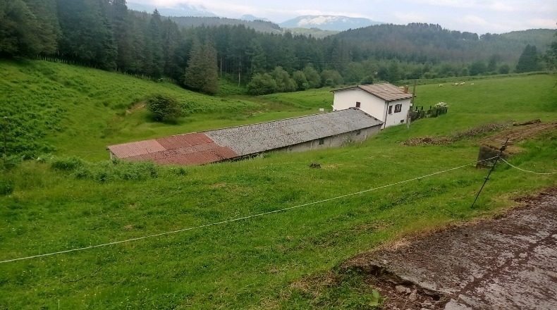 Vizcaya - Ceánuri - 10000m2