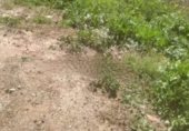 Parcel·la urbanitzable en venda a la Calle Junqueras 17, Toixa, ref.: TR235274 foto