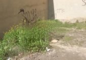 Parcel·la urbanitzable en venda a la Calle Junqueras 17, Toixa, ref.: TR235274 foto