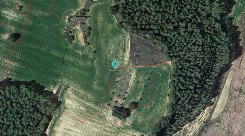 Guadalajara - Alcocer - 23700m2